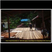12372 098 Langhaus Stamm Bifdayuh bei Kuting Malaysia 2006 Sarawak.jpg